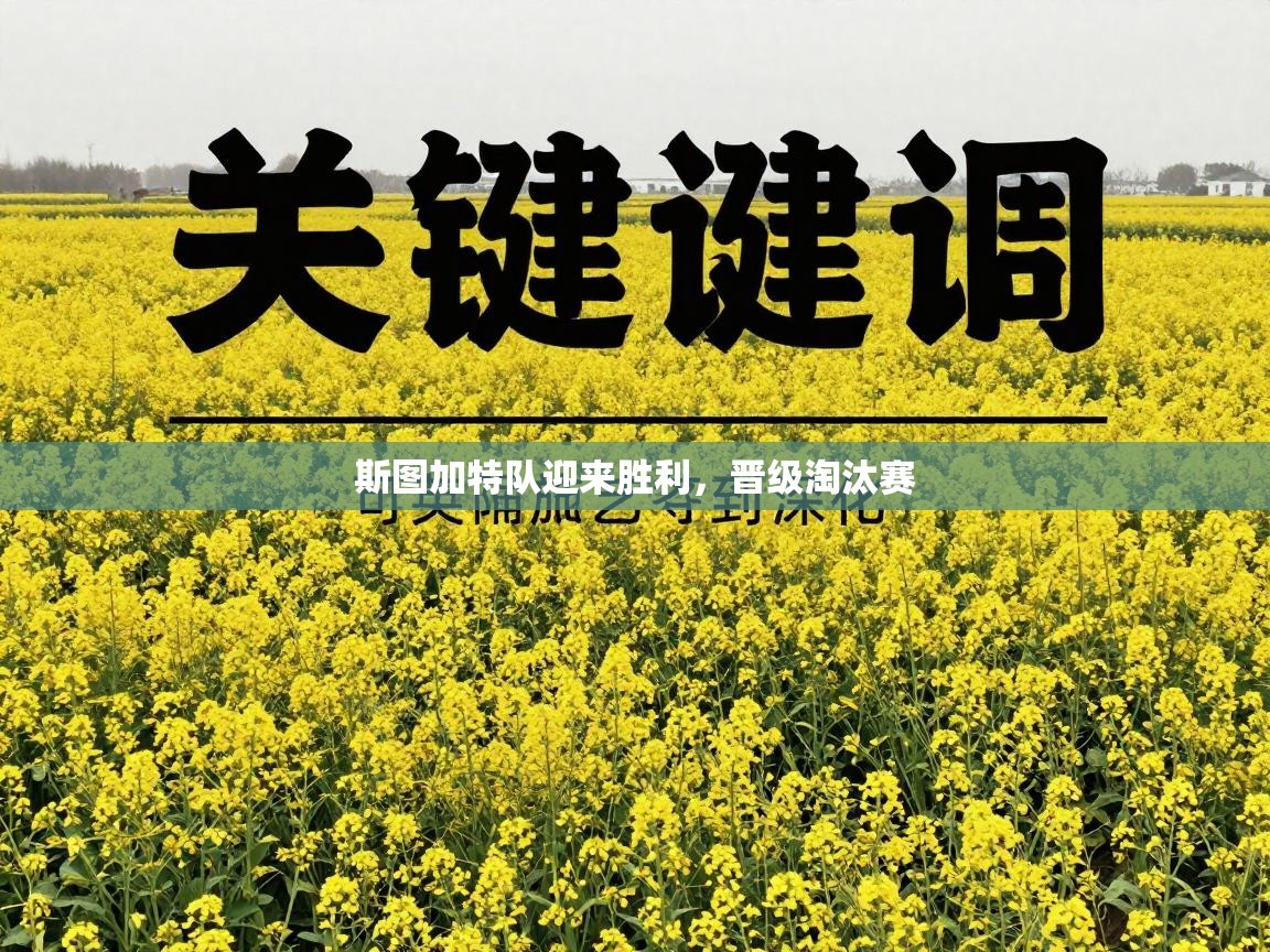 斯图加特队迎来胜利，晋级淘汰赛